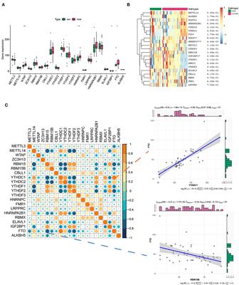 The diagnostic significance of integrating m6A modification and immune microenvironment features based on bioinformatic investigation in aortic dissection